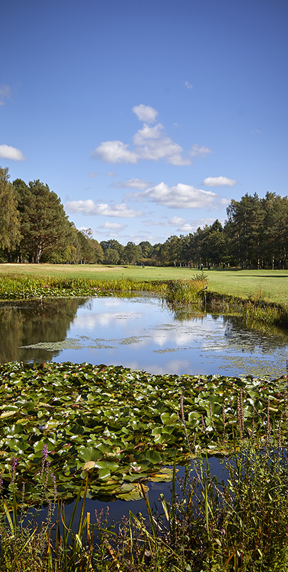 York Golf Club Lake