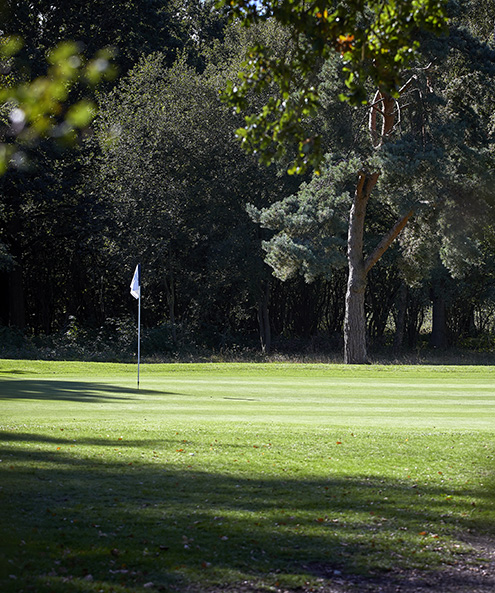 York Golf Course Green